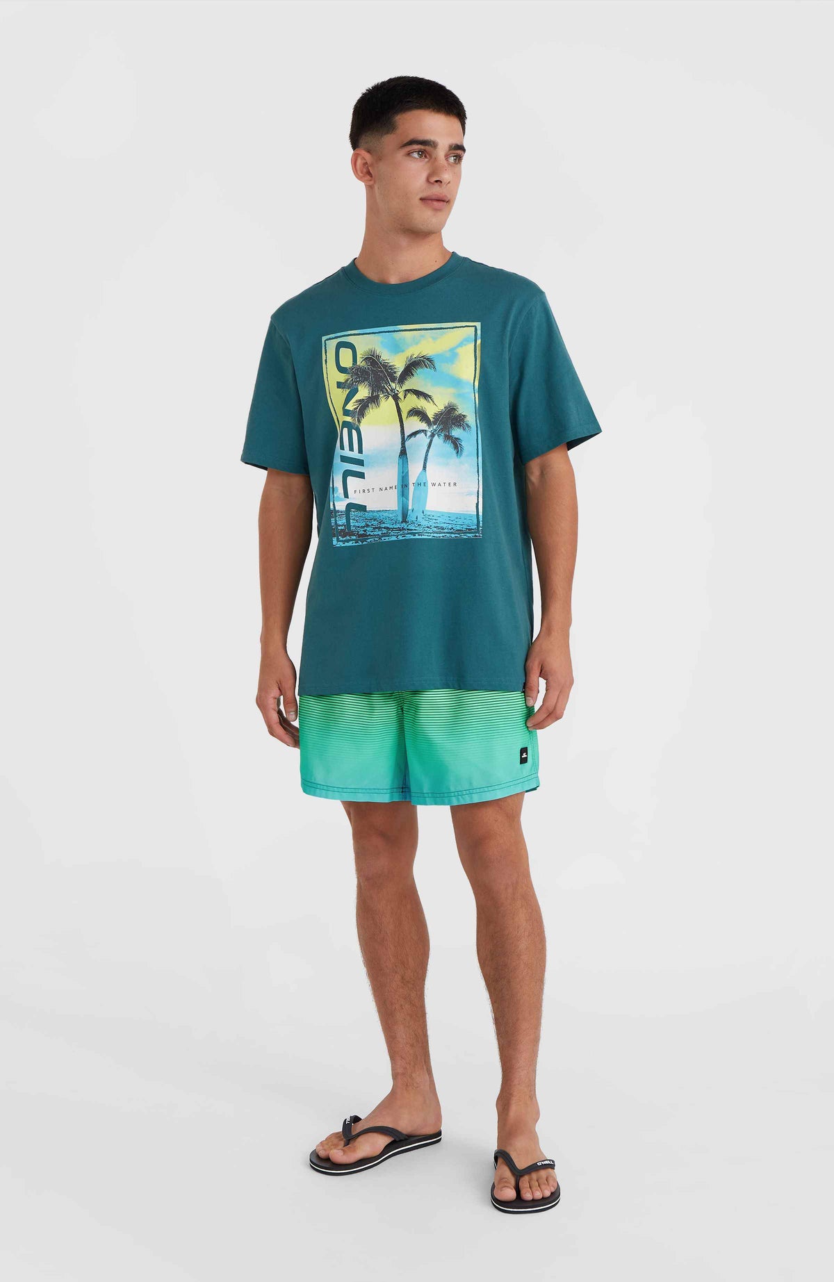 Jack O'Neill Cali Gradient 15'' Swim Shorts | Beetle Juice Simple Gradient Panel