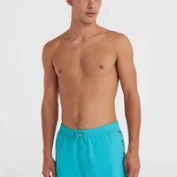 Jack O'Neill Vert 14'' Swim Shorts | Neon Blue