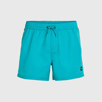 Jack O'Neill Vert 14'' Swim Shorts | Neon Blue