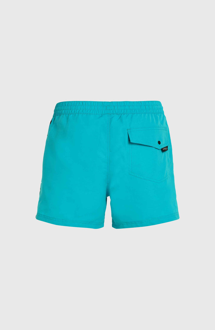 Jack O'Neill Vert 14'' Swim Shorts | Neon Blue