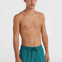 Jack O'Neill Vert 14'' Swim Shorts | Beetle Juice
