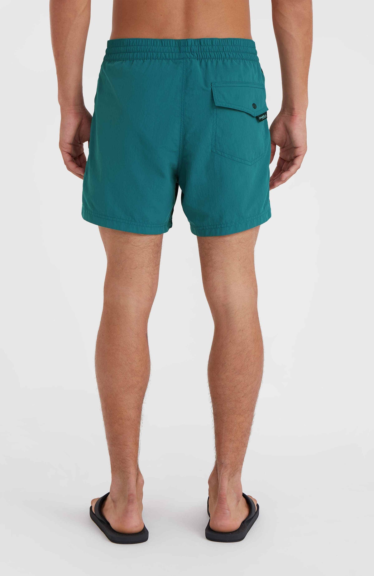 Jack O'Neill Vert 14'' Swim Shorts | Beetle Juice