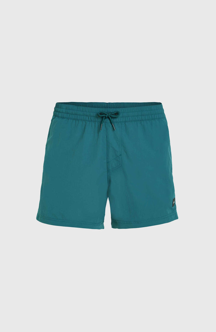 Jack O'Neill Vert 14'' Swim Shorts | Beetle Juice
