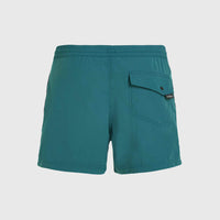 Jack O'Neill Vert 14'' Swim Shorts | Beetle Juice