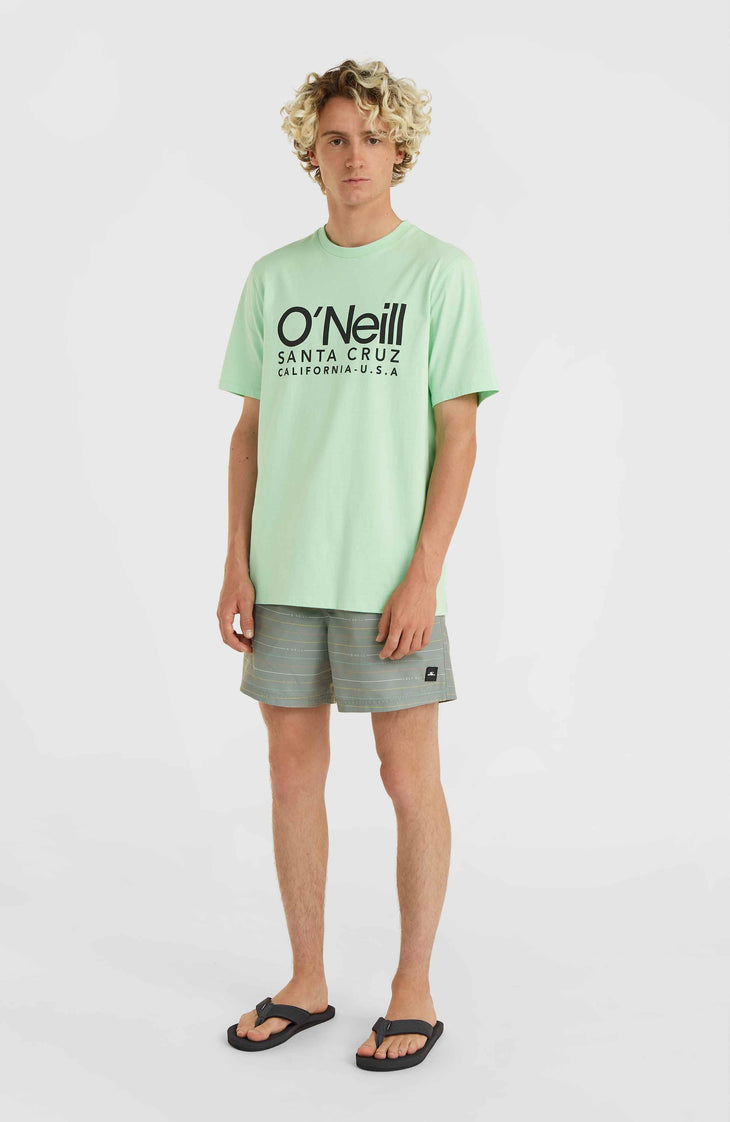 Jack O'Neill Cali First 15'' Swim Shorts | Green First Name Stripe