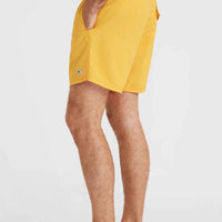 Vert 16'' Swim Shorts | Golden Haze