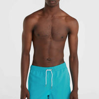 Vert 16'' Swim Shorts | Neon Blue