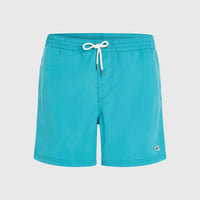 Vert 16'' Swim Shorts | Neon Blue