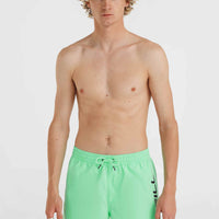 Cali 16'' Swim Shorts | Neon Green