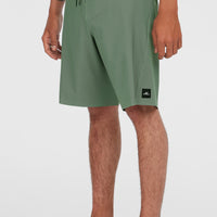 Hyperfreak Tech Solid 19'' Boardshorts | Sage