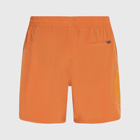 O'Riginals Cali Ocean 16'' Swim Shorts | Cinnamon Stick