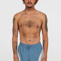 O'Riginals Longboard 15'' Swim Shorts | Blue Original Stripe