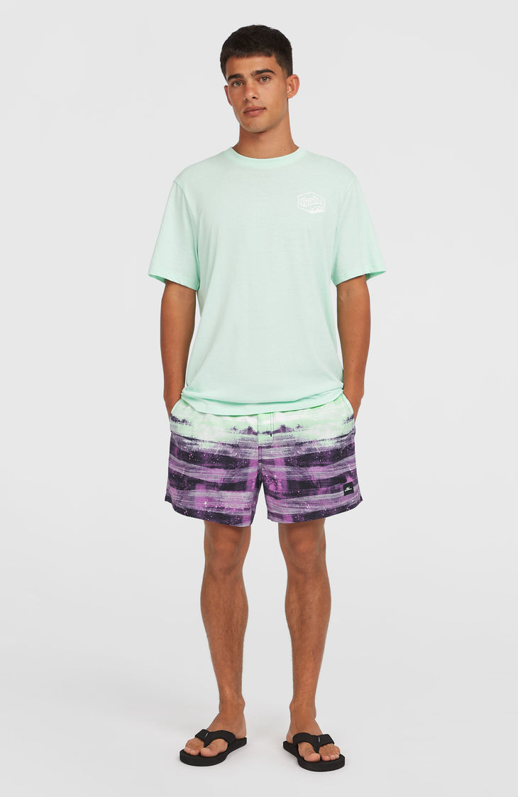 Cali Gradient 15'' Swim Shorts | Purple Melted Texture