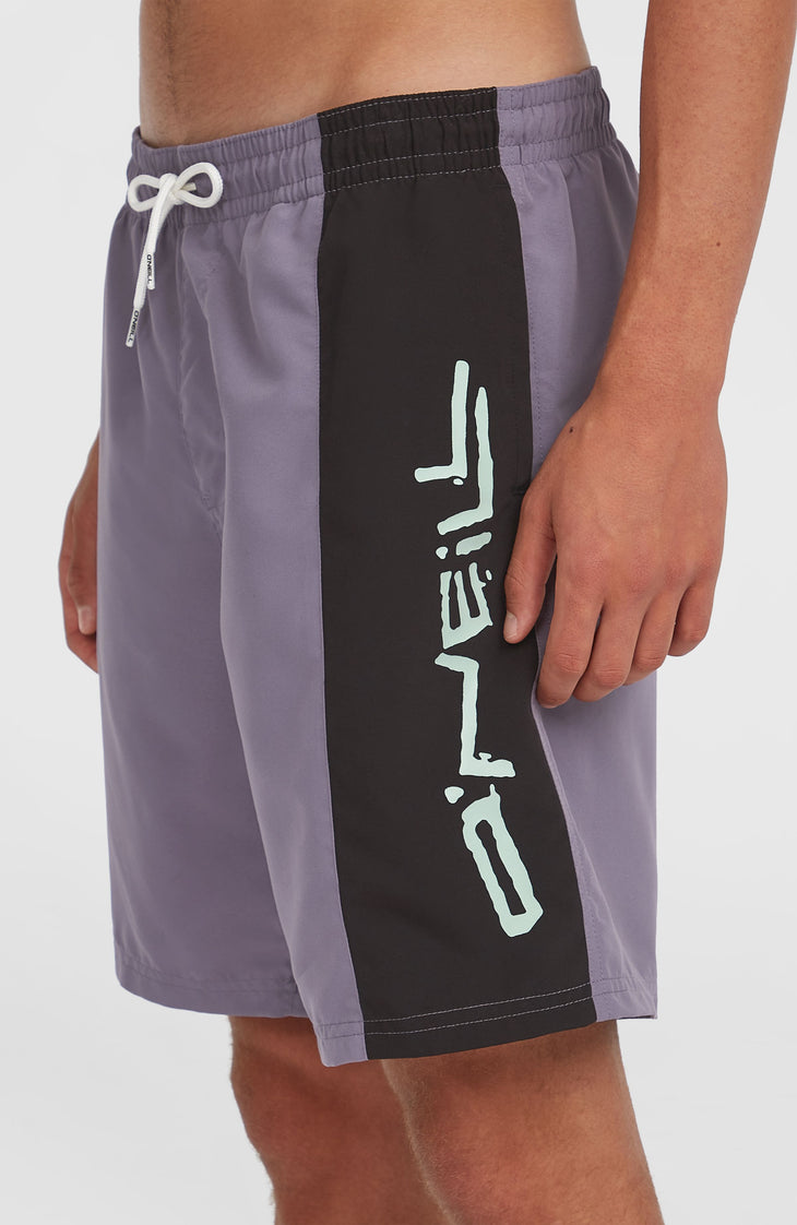 Retro 19'' Swim Shorts | Storm Colour Block