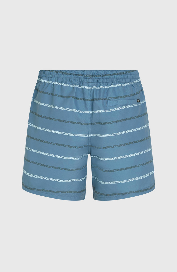 Cali First 15'' Swim Shorts | Blue O'Neill Stripe
