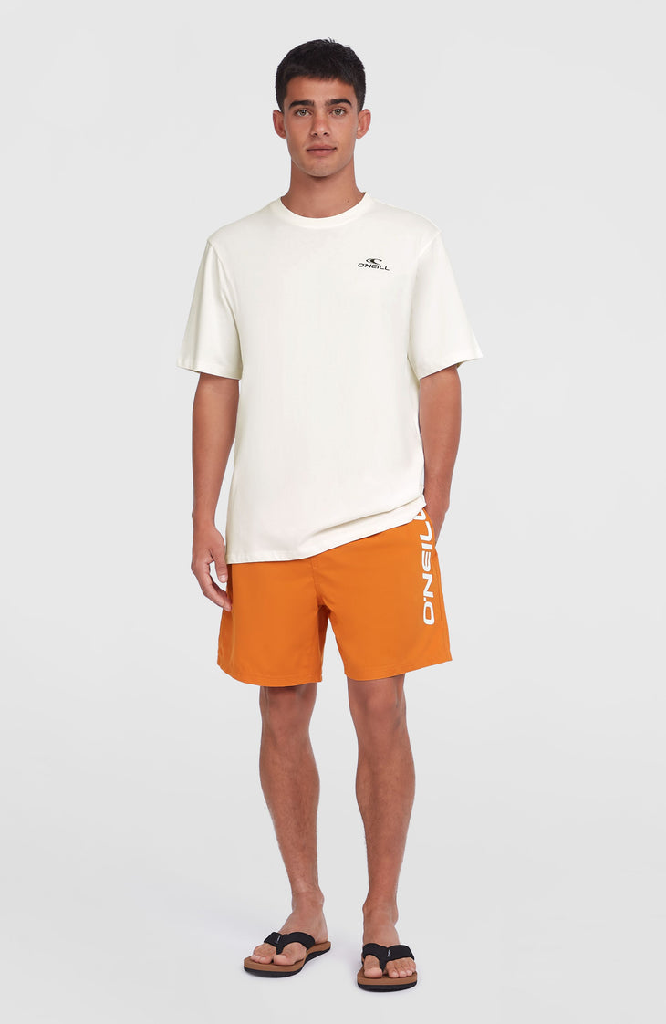 Cali 16'' Swim Shorts | Cinnamon Stick