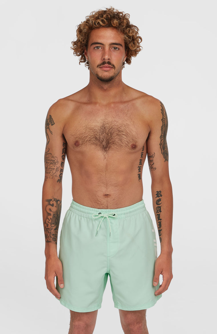 Cali 16'' Swim Shorts | Mildrew Mint
