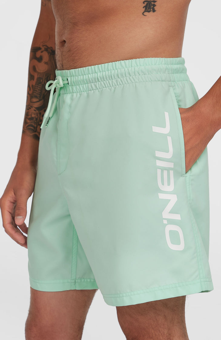 Cali 16'' Swim Shorts | Mildrew Mint