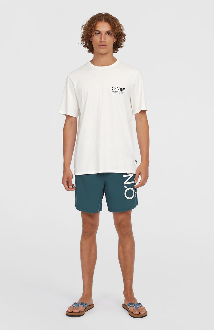 Original Cali 16'' Swim Shorts | Alma Steel