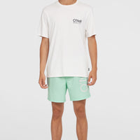 Original Cali 16'' Swim Shorts | Mildrew Mint