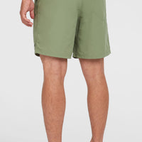 O’Neill Vert 16'' Swim Shorts | Avery Fern