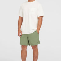 O’Neill Vert 16'' Swim Shorts | Avery Fern