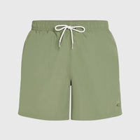 O’Neill Vert 16'' Swim Shorts | Avery Fern