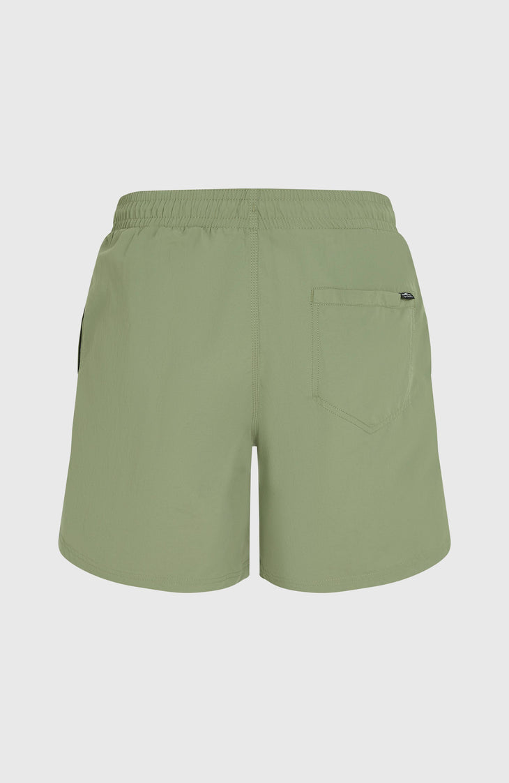 O’Neill Vert 16'' Swim Shorts | Avery Fern