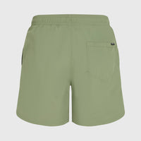 O’Neill Vert 16'' Swim Shorts | Avery Fern