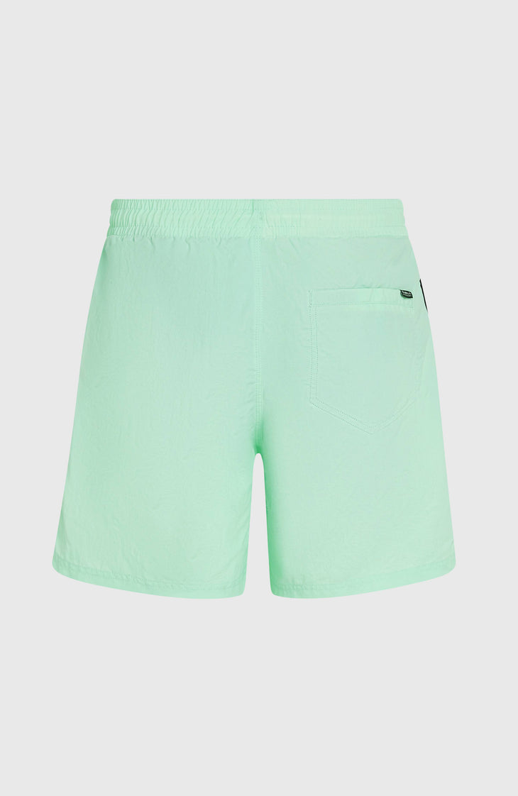 O’Neill Vert 16'' Swim Shorts | Mildrew Mint