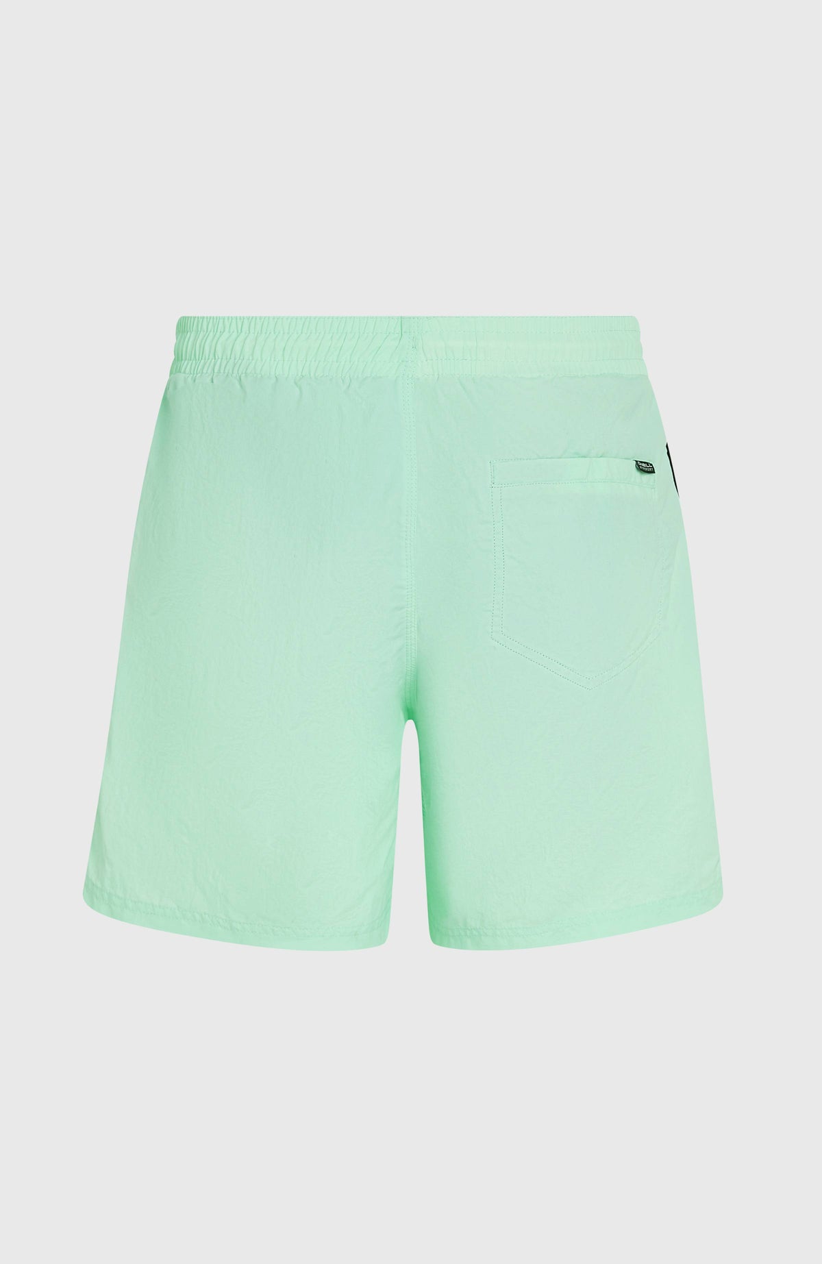 O’Neill Vert 16'' Swim Shorts | Mildrew Mint