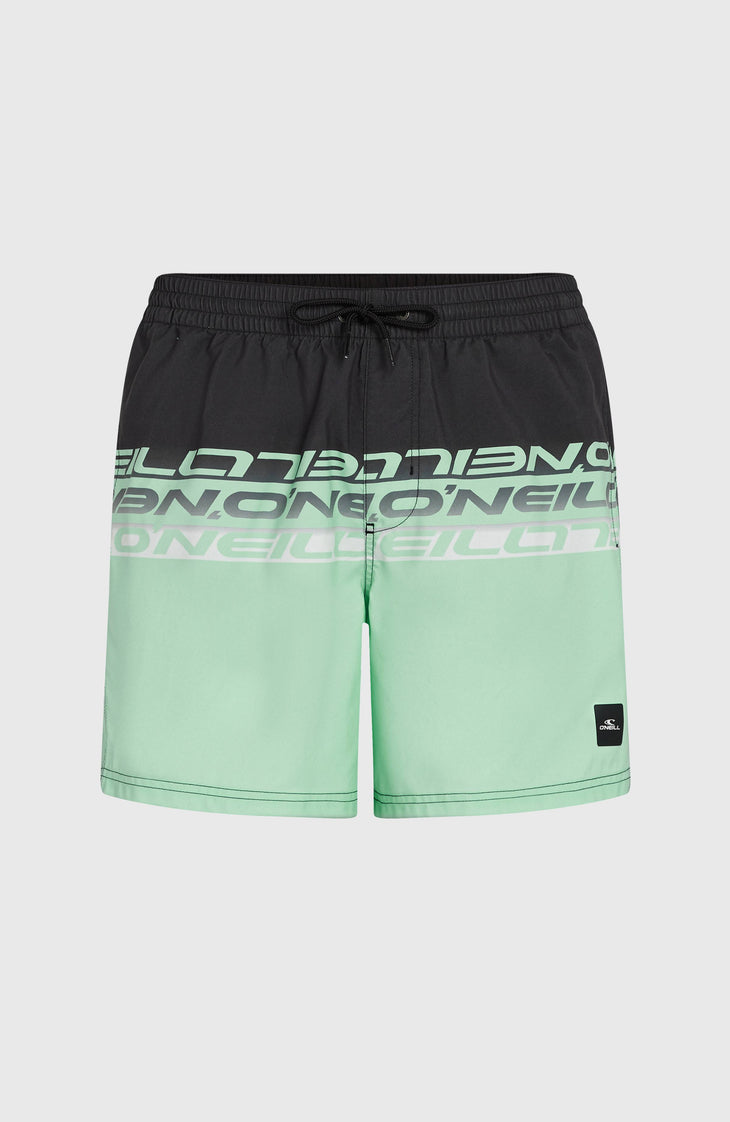 Cali Stripe 16'' Swim Shorts | Green/Black Upside Down Clean