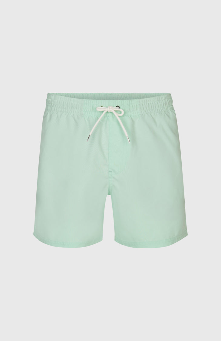 O'Neill 15" Swimshorts | Mildrew Mint