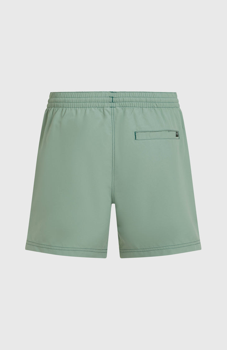 O'Neill Block 15'' Swimshorts | Blue Bricks