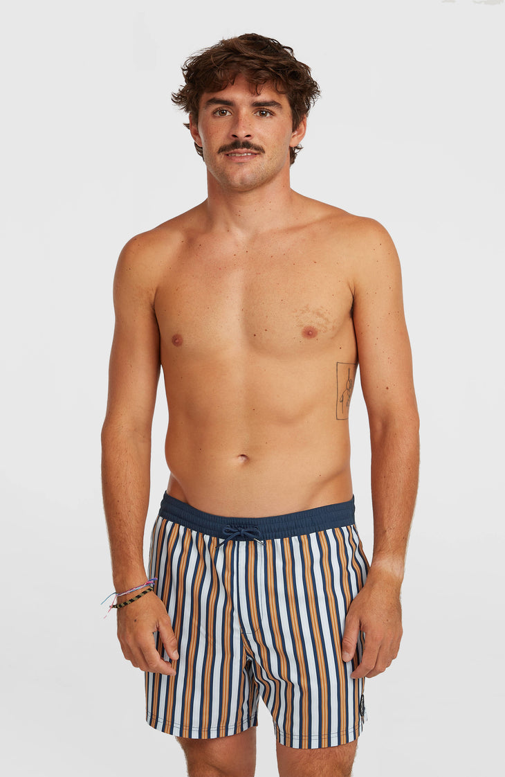 O'Riginals Stripe 15'' Swimshorts | Blue Originals stripe