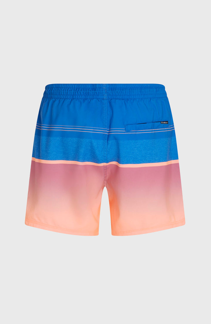 O’Neill Gradient 15'' Swimshorts | Blue Gradient Stripe