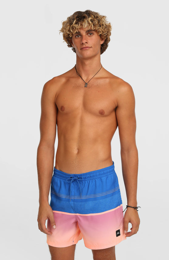 O’Neill Gradient 15'' Swimshorts | Blue Gradient Stripe