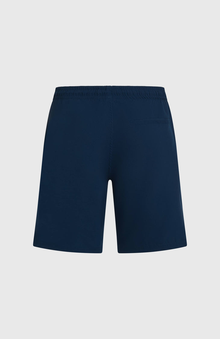 O'Neill Retro 19'' Swimshorts | English Evening Colour Block