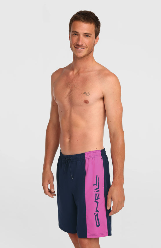 O'Neill Retro 19'' Swimshorts | English Evening Colour Block