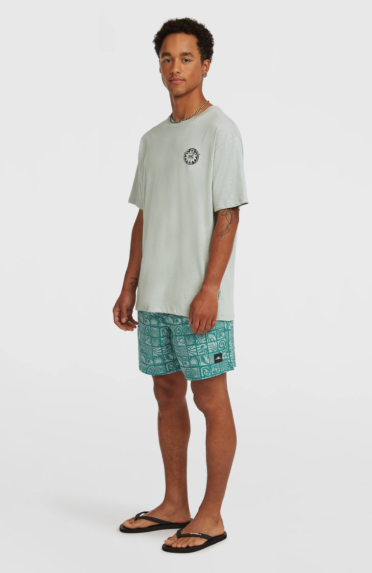 O'Neill Print 16'' Swimshorts | Blue Bricks