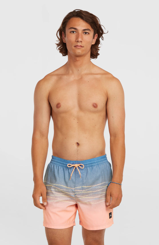 O'Neill First 15'' Swimshorts | Blue Heritage O'Neill Flip