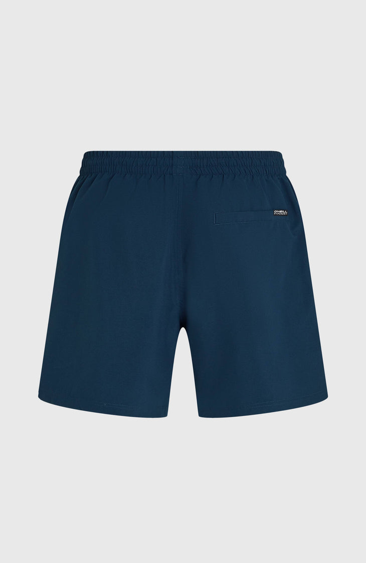 O'Neill Logo 16'' Swimshorts | English Evening