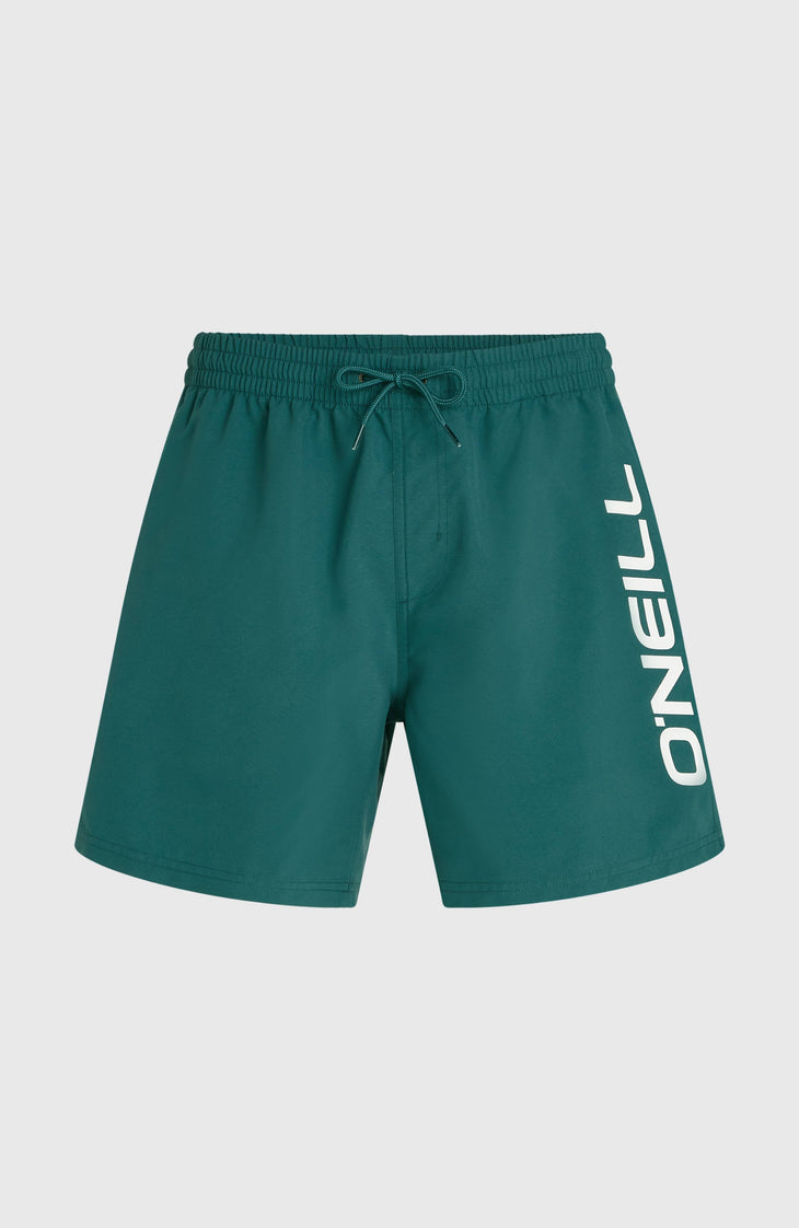 O'Neill Logo 16'' Swimshorts | Botanical Heat