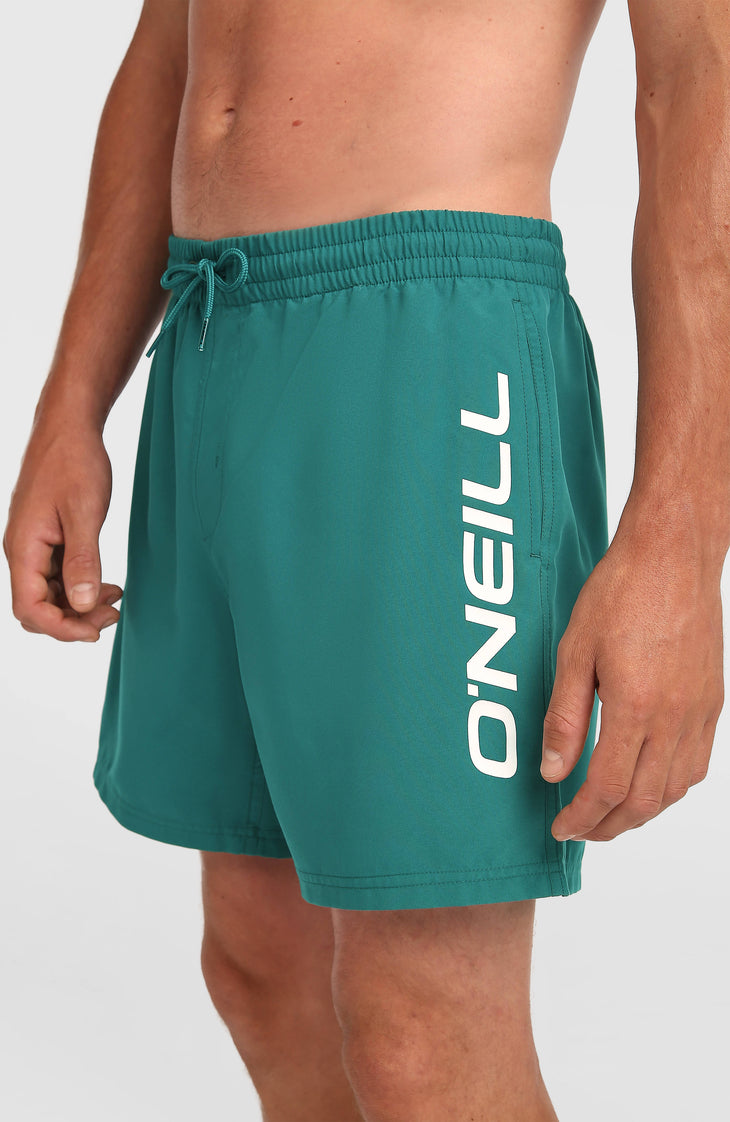 O'Neill Logo 16'' Swimshorts | Botanical Heat