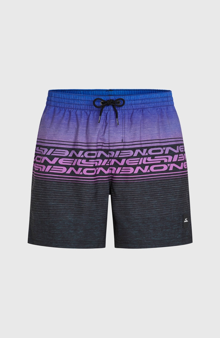 Logo Stripe 16'' Swimshorts | Blue Heritage O'Neill Stripe