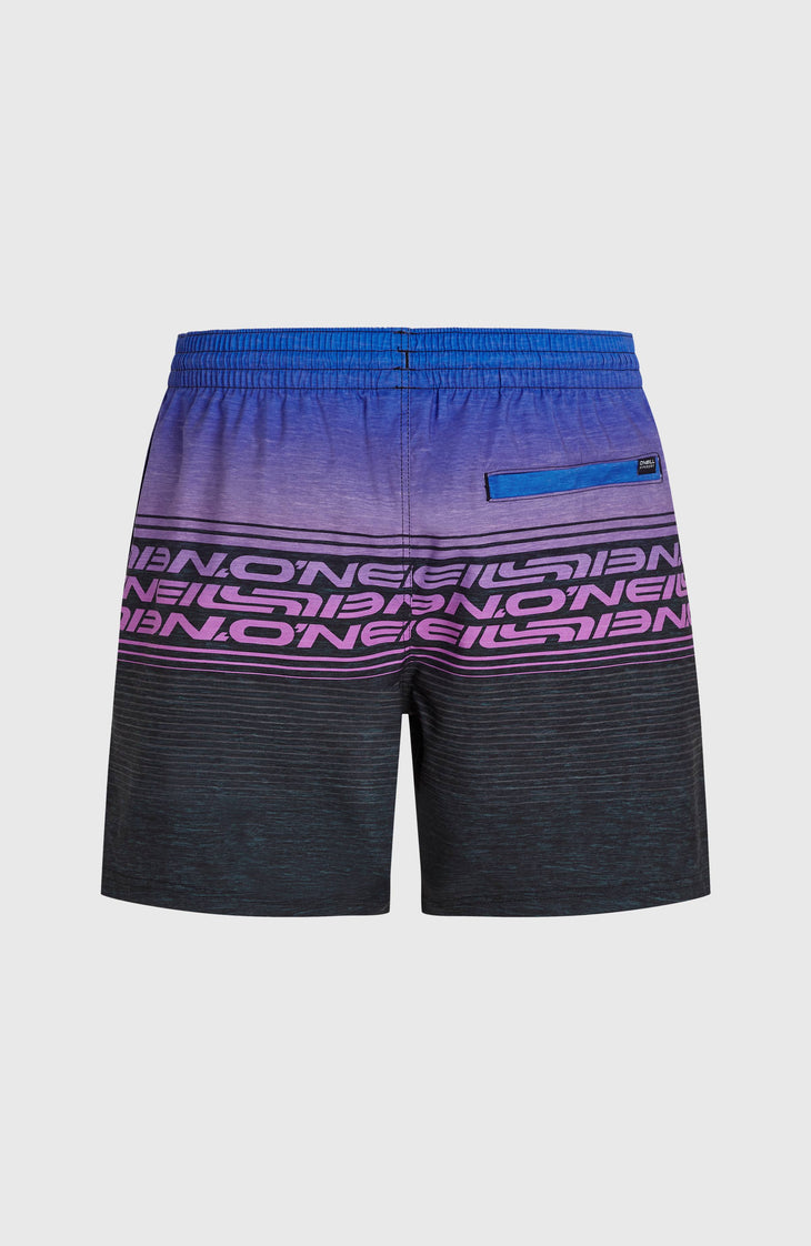 Logo Stripe 16'' Swimshorts | Blue Heritage O'Neill Stripe