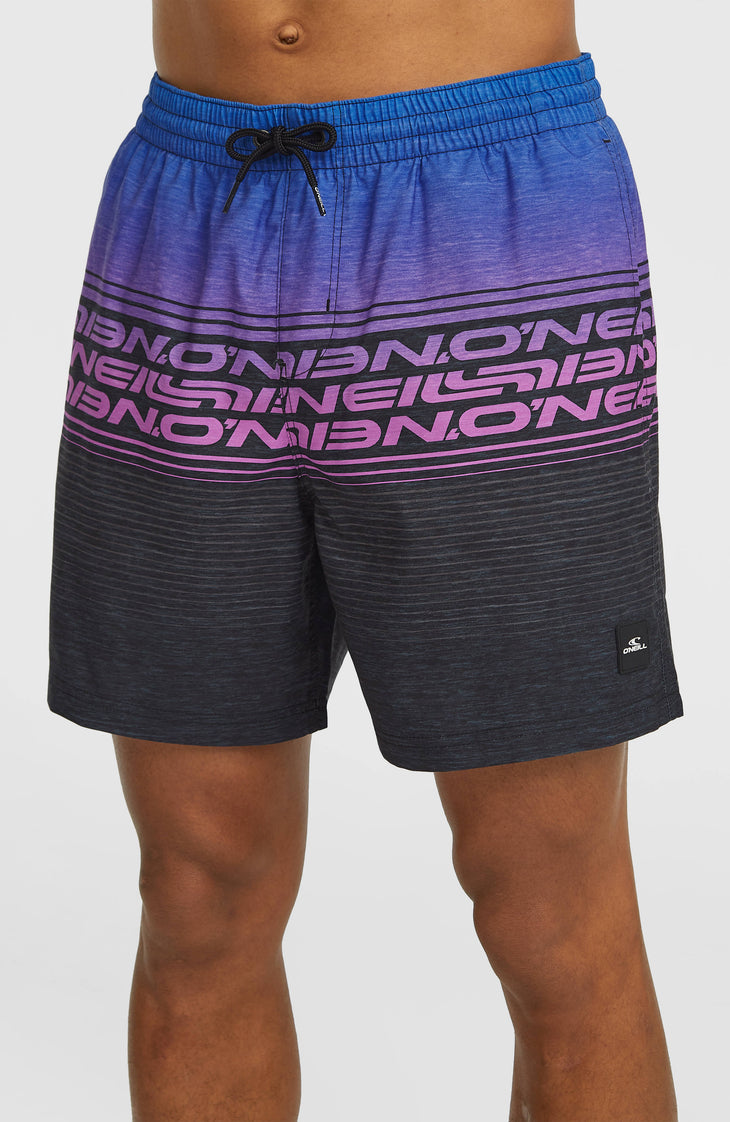 Logo Stripe 16'' Swimshorts | Blue Heritage O'Neill Stripe
