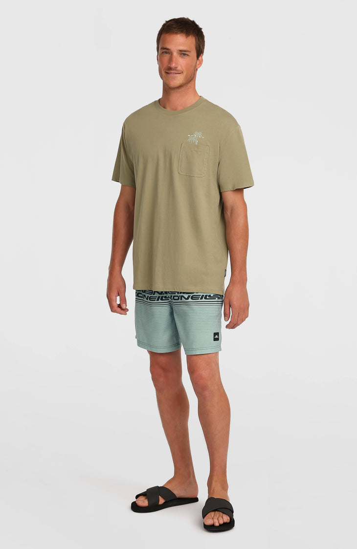 Logo Stripe 16'' Swimshorts | Green Heritage Stripe