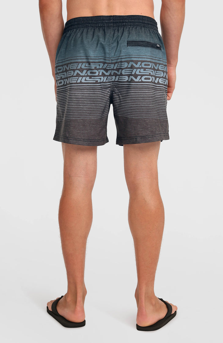 Logo Stripe 16'' Swimshorts | Black Out Heritage O'Neill Stripe