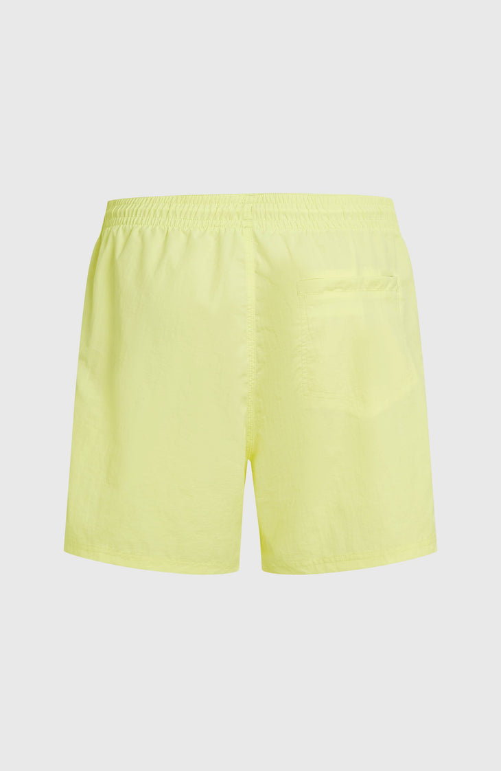 O'Neill Vert 16'' Swimshorts | Rainforest Dew